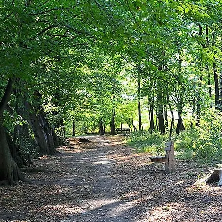 Na Skalkách Nový Jičín